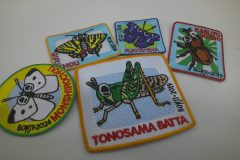 細かいデティールにこだわった昆虫デザイン5種類のオリジナル刺繡ワッペン。