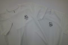 glue-5