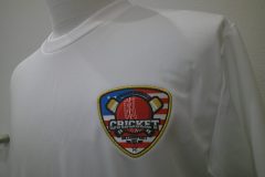 白Tシャツの左胸にクリケットボールが描かれたプリント生地を金糸で縁取り刺繡した制作事例。