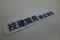 Digital Camera
