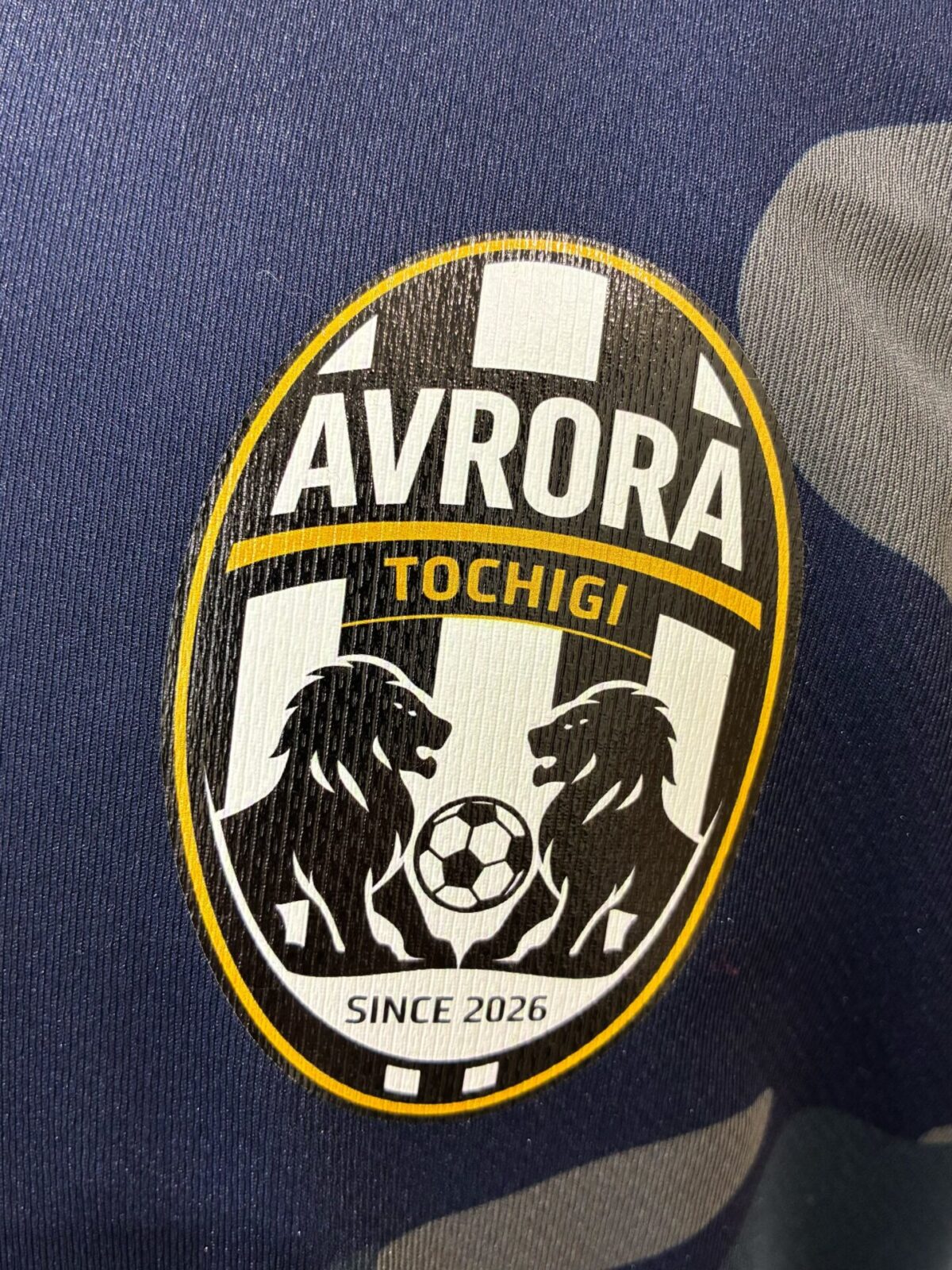 カモフラTシャツの左胸に縦長楕円形のロゴをエンブレムプリントを加工した試作事例。真上からのアップ。